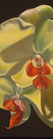 Sophie Frieda Original Oil Painting